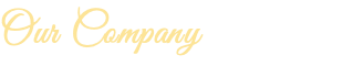 Our Company